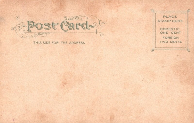 Vintage Postcard 1900s Westminster historic Street Providence Rhode Island RI