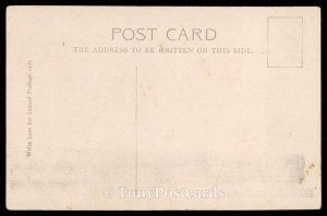 The Major Oak, Sherwood Forest