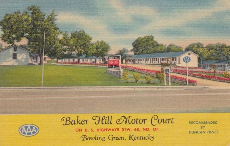 Kentucky Bowling Green Baker Hill Motor Court 1951 Curteich sk2159