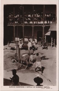 PC PAKISTAN, GURKHAS SACRIFICING A BUFFALO, Vintage REAL PHOTO (b43302)