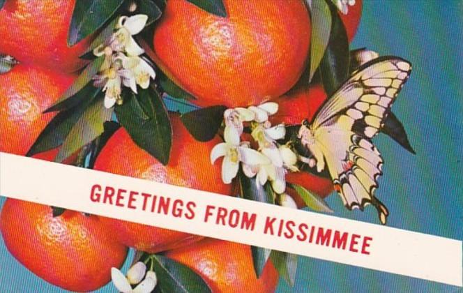 Florida Greetings From Kissimmee 1978