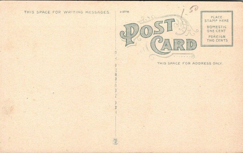 Vtg Burlington Vermont VT New Sherwood Hotel 1920s WB Unused Postcard