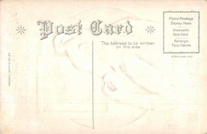 Greetings Dont Monkey with your personal appearance Vintage Postcard AA9983 