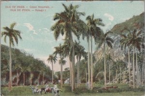 Postcard Casas Mountain Isle of Pines Cuba