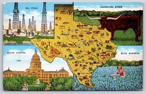 Maps~Map Texas Oil Field Longhorn Steer Capitol & Blue Bonnets~Vintage Postcard