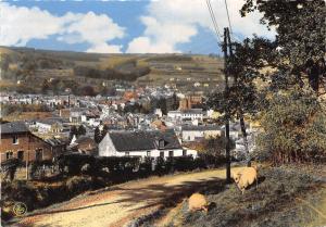 BG31051 stavelot panorama  belgium  CPSM 14.5x10cm