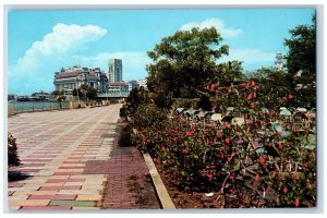 Singapore Postcard Famous Seaside Promenade Elizabeth Walk c1950's Vintage