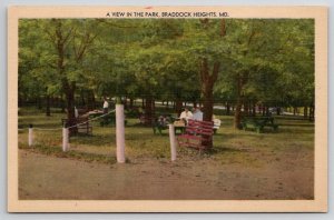 Braddock Heights Maryland A View In The Park MD Postcard B43