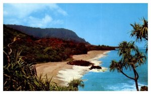 Lumahai Beach Cove Framed with Palm Trees Kauai Hawaii Postcard