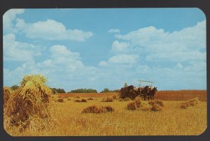 Northern Indiana AMISH Farms - Wheat Harvest Horse-Drawn Equipment ~ Chrome