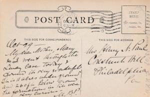 Entrance Avenue - Luray Caverns VA, Virginia - pm 1908 - DB