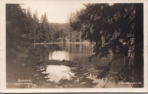 Czech Republic Šumava Plešné jezero, Sumava Vintage RPPC C129