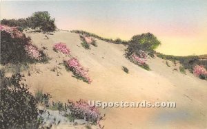 Sand Dunes - Cape Cod, MA