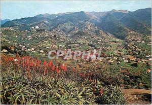 Postcard Modern 186 Ilha da madeira portugal view of the peak of Bacelos