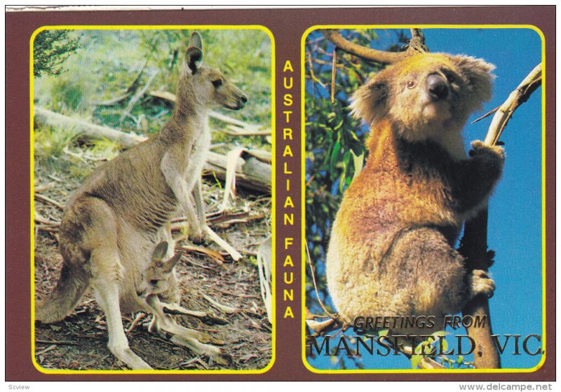 Australian Fauna , MAnsfield , VICTORIA, 1960-80s