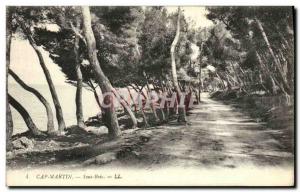 Postcard Old Cap Martin Sous Bois