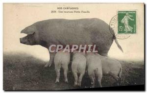 Postcard Old Pig Pig A happy little family