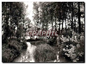 Old Postcard Ervy chattel Aube The Banks of Armance