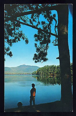 White Mountains Postcard, Overlooking Mt Chocorua & Lake, New Hampshire/NH, 1970