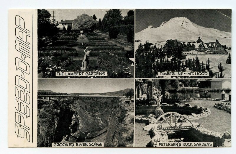 Postcard Petersen's Rock Garden Speed-O-Maps Oregon Standard View Card 