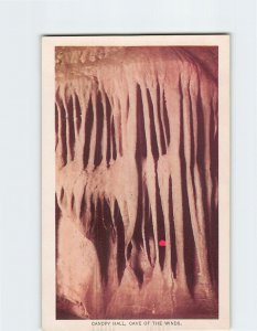 Postcard Canopy Hall Cave Of The Winds Manitou Springs Colorado USA