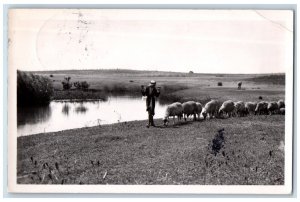 c1940's River Jordan View Shepard Sheep Jerusalem Israel RPPC Photo Postcard