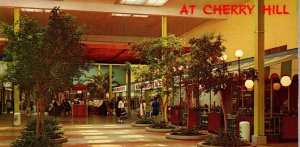 Cherry Hill Mall NJ Postcard Woolworth's Department Store Shopping New Jersey