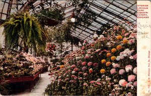 Interior Lincoln Park Conservatory,Chicago,IL BIN