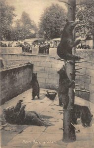 Bern, Switzerland Bear Pit c1910s Vintage Postcard