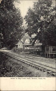 Bristol Tennessee Virginia Big Creek Park Train Tracks c1910 Postcard