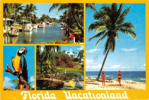 US13 USA FL Florida Vacationland multi view parrot 1989