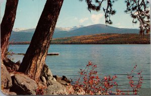 Beautiful Priest Lake North Idaho Postcard PC403