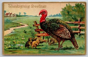 Thanksgiving Greetings Turkey On Farm Postcard F31