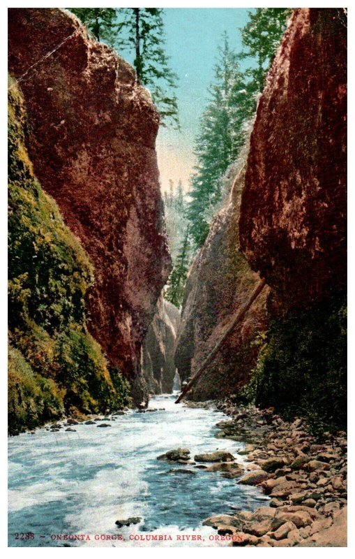 2288 Oneonta Gorge Columbia River Oregon Edward H Mitchell Postcard 1912