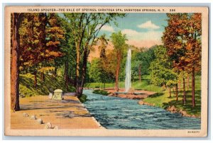1939 Island Spouter Vale Springs Spa View Saratoga Springs New York NY Postcard
