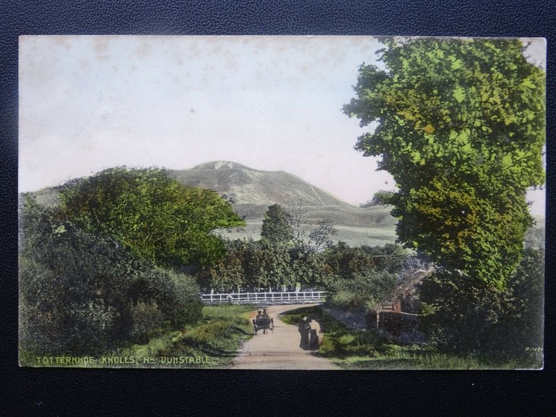 Bedfordshire Nr DUNSTABLE Totternhoe Knolls c1906 Postcard by J. Field's