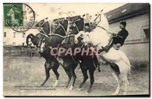 Old Postcard Horse Riding Equestrian School & # Saumur Cavalry 39application ...