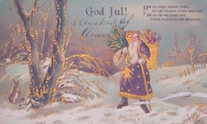 1909 Santa Claus Purple Robe Coat Rabbit Gold Vintage Christmas Postcard Germany