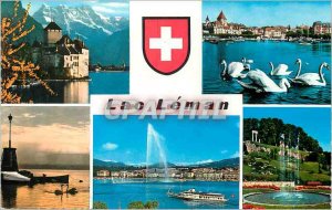 Postcard Modern Lake Geneva Swans