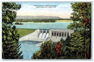 c1950's Tippy Dam On Manistee River Power Source Cadillac Michigan MI Postcard 