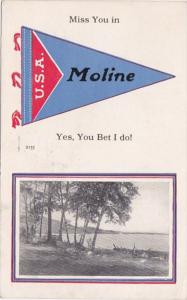 Pennant Series Moline Illinois 1915