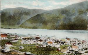 Douglas City Alaska AK Birdseye Unused Postcard E40