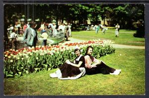 Tulip Time,Holland,MI BIN