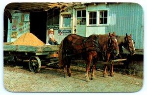 Indiana IN Feed Mill Boy Wagon Horses Amish Postcard