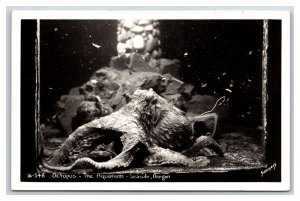 RPPC Octopus at The Aquarium Seaside Oregon OR UNP Sawyer Photo Postcard V7