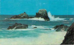 USA Seal and Bird Rocks Laguna Beach California Vintage Postcard 07.58