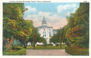 Santa Rosa California Ursline College Grounds White Border Postcard Unused