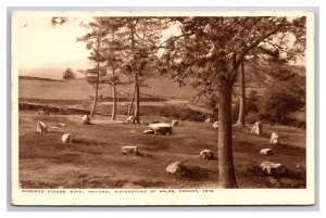 Gorsedd Stones Treorchy Glamorgan Cardiff Wales DB Postcard P28