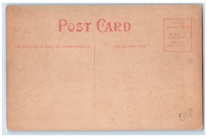 c1910 Broadway Exterior Building Albert Lea Minnesota Vintage Antique Postcard