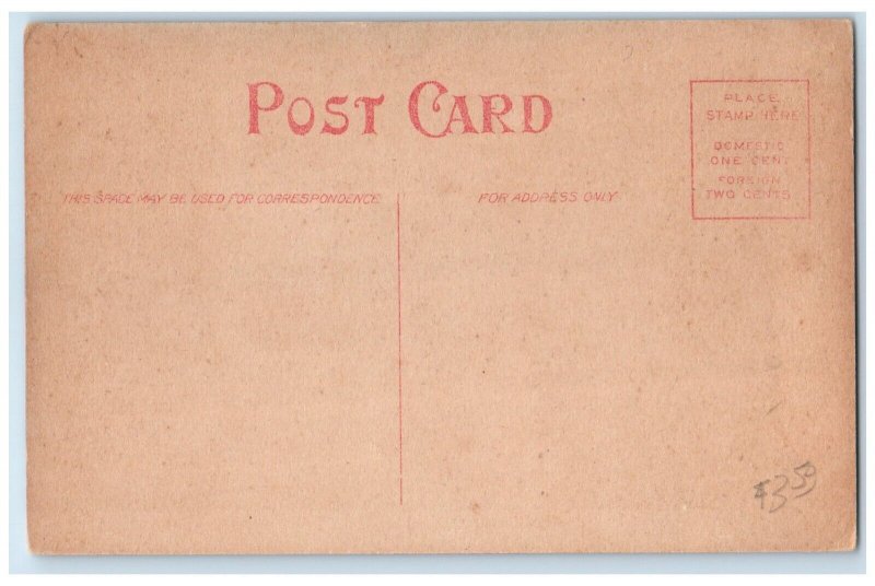 c1910 Broadway Exterior Building Albert Lea Minnesota Vintage Antique Postcard